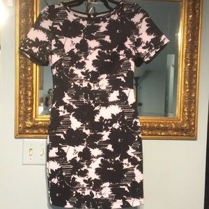 🐾 Dress by Arden B nwot